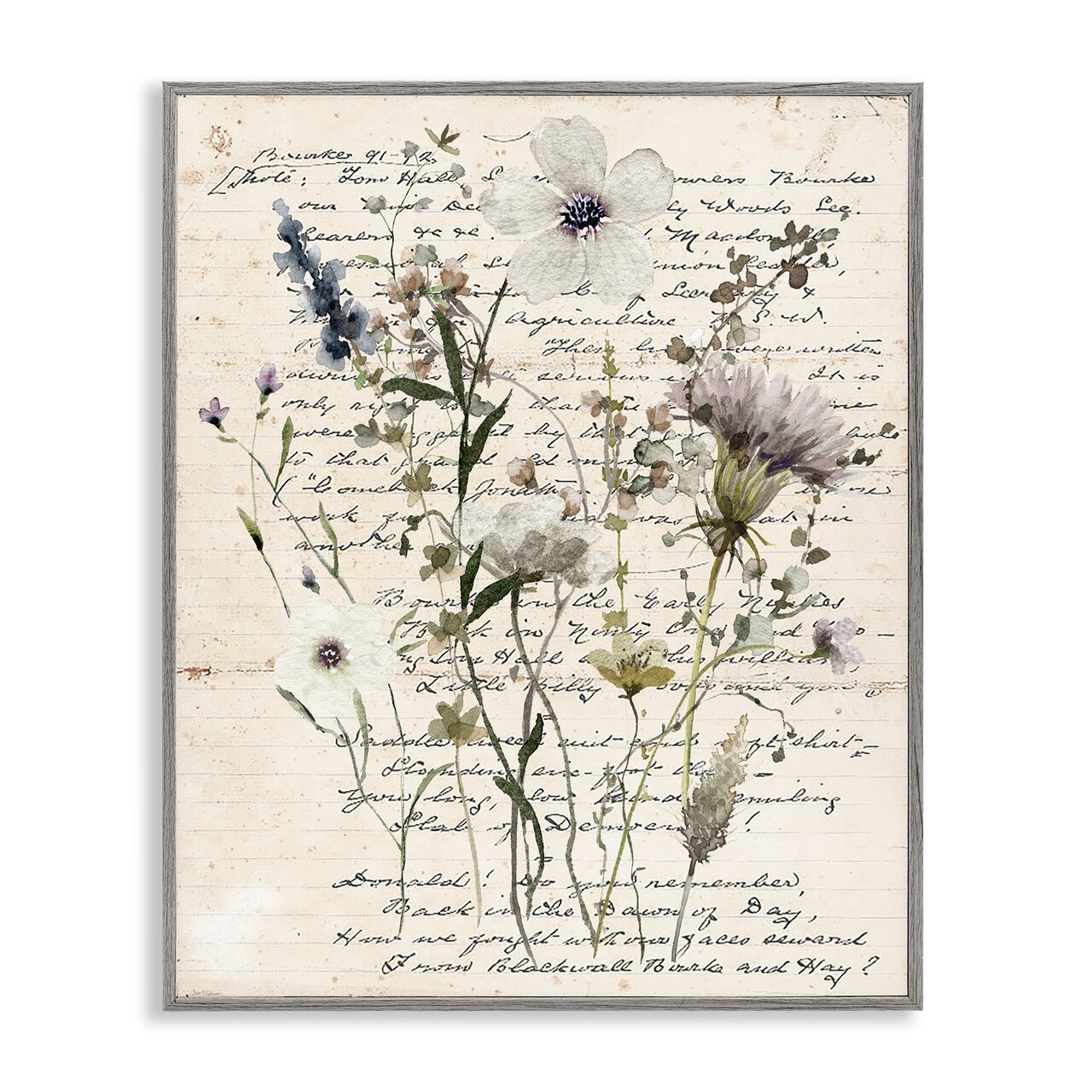 Stupell Industries Pressed Flowers on Page Framed Giclee Wall Art Design by Carol Robinson
